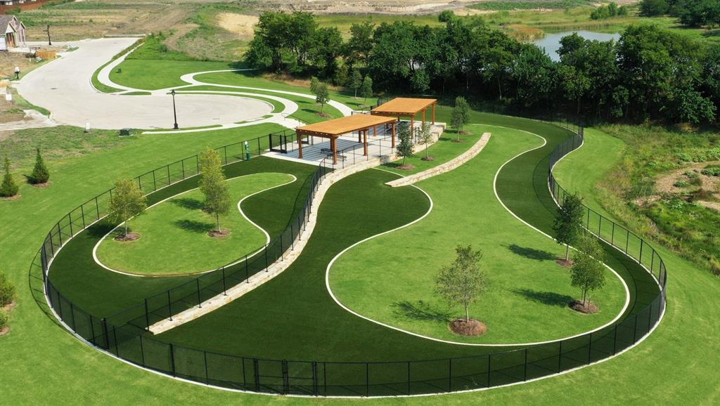 4_Dog Park_2 4_Dog Park_2