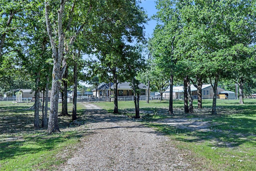 Gravel drive bordered by mature trees and manicured lawn