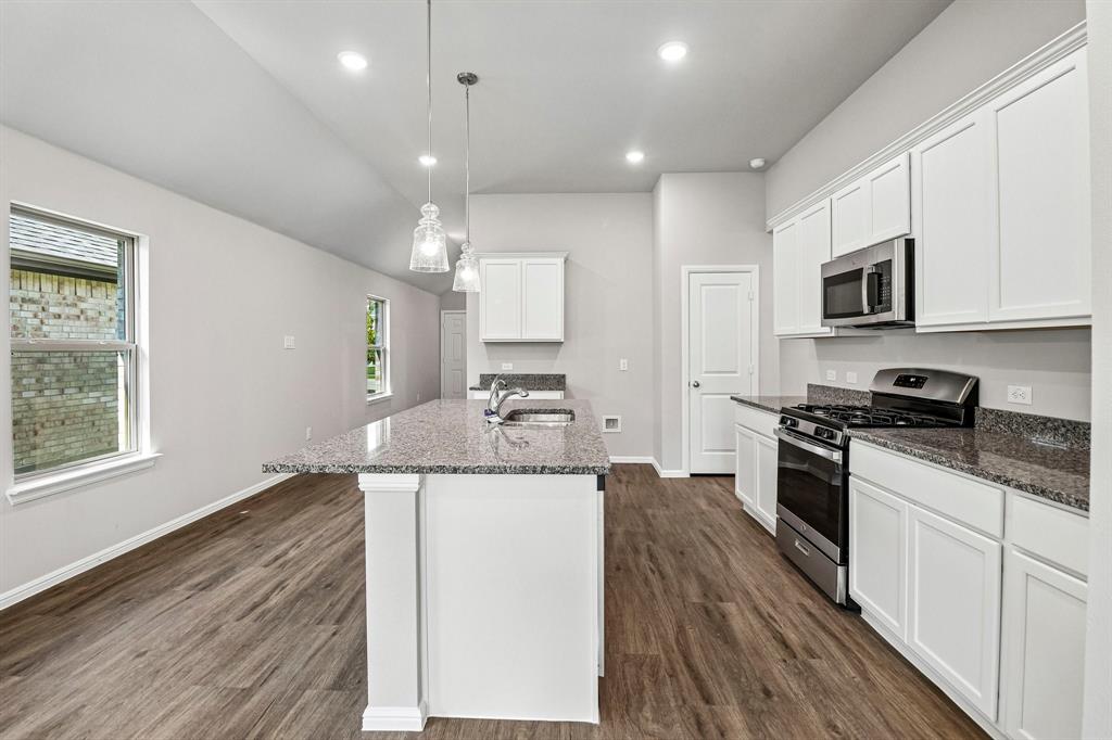 468 Tender Summit, Lavon, TX 75166