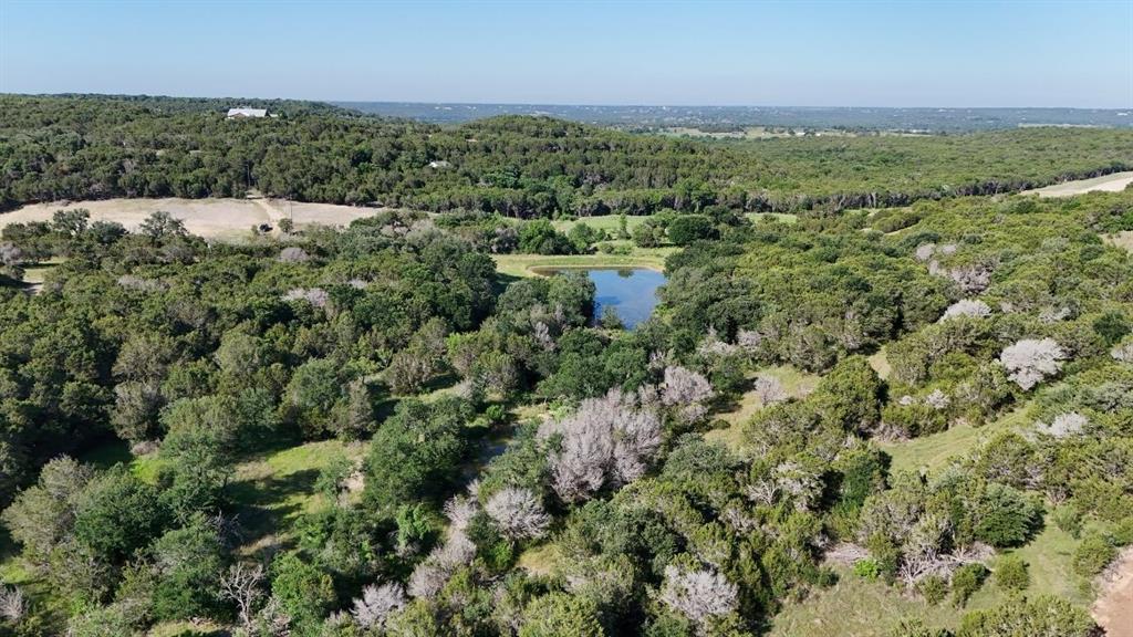 Expansive wooded acreage featuring a natural pond and varied terrain