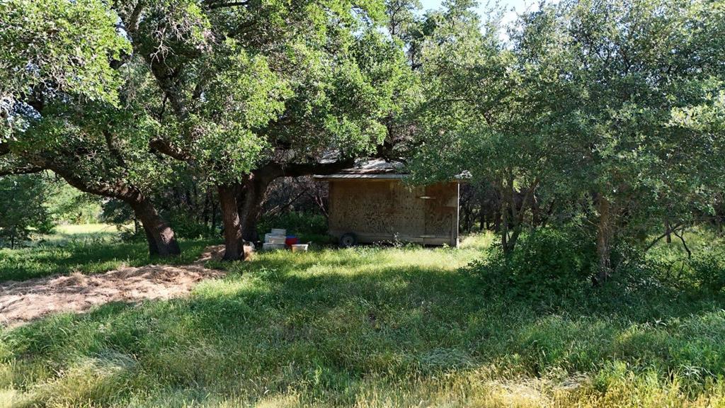 Rustic outbuilding nestled among mature trees
