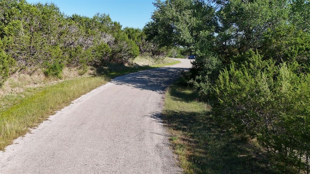 Paved road winding through natural landscaping with mature trees and native grasses