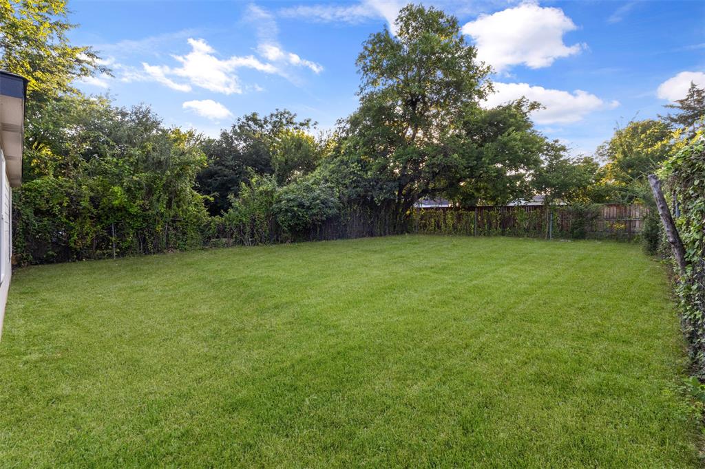 Expansive backyard featuring a lush green lawn, mature trees, and perimeter fencing