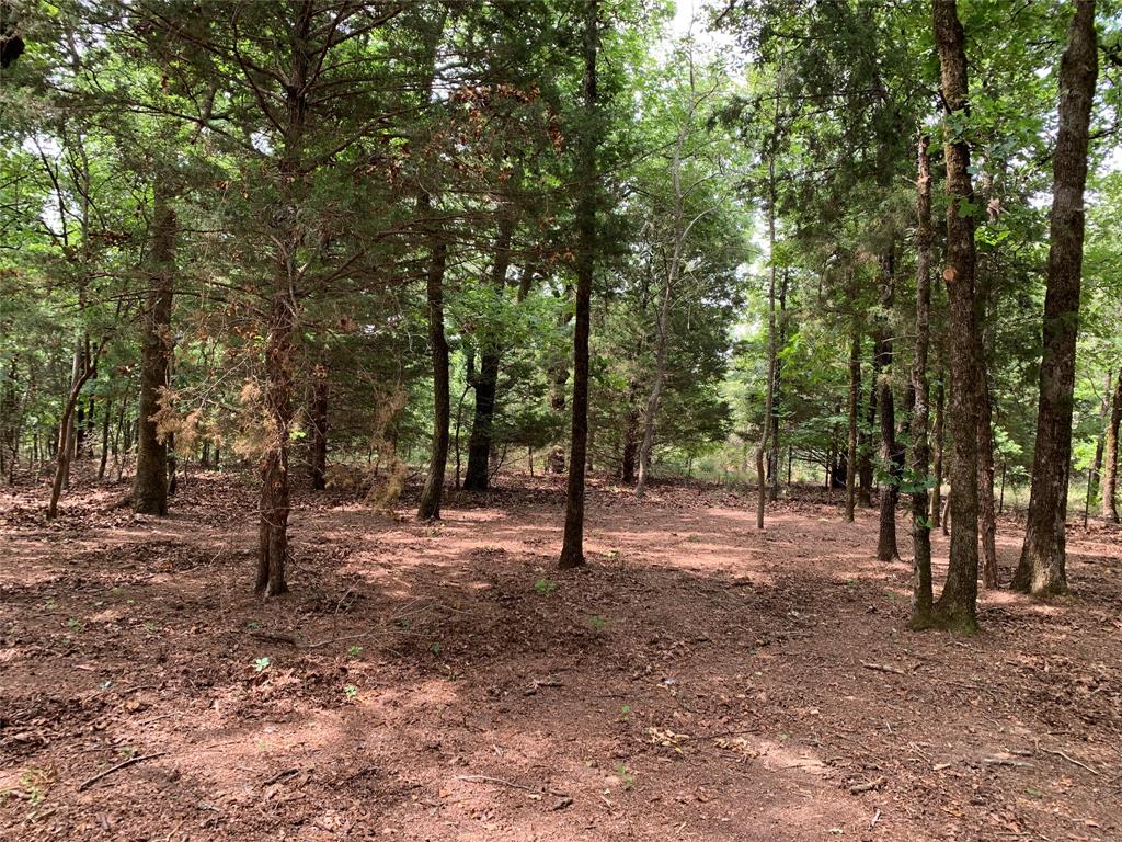 TBD County Road 3711, Athens, TX 75752