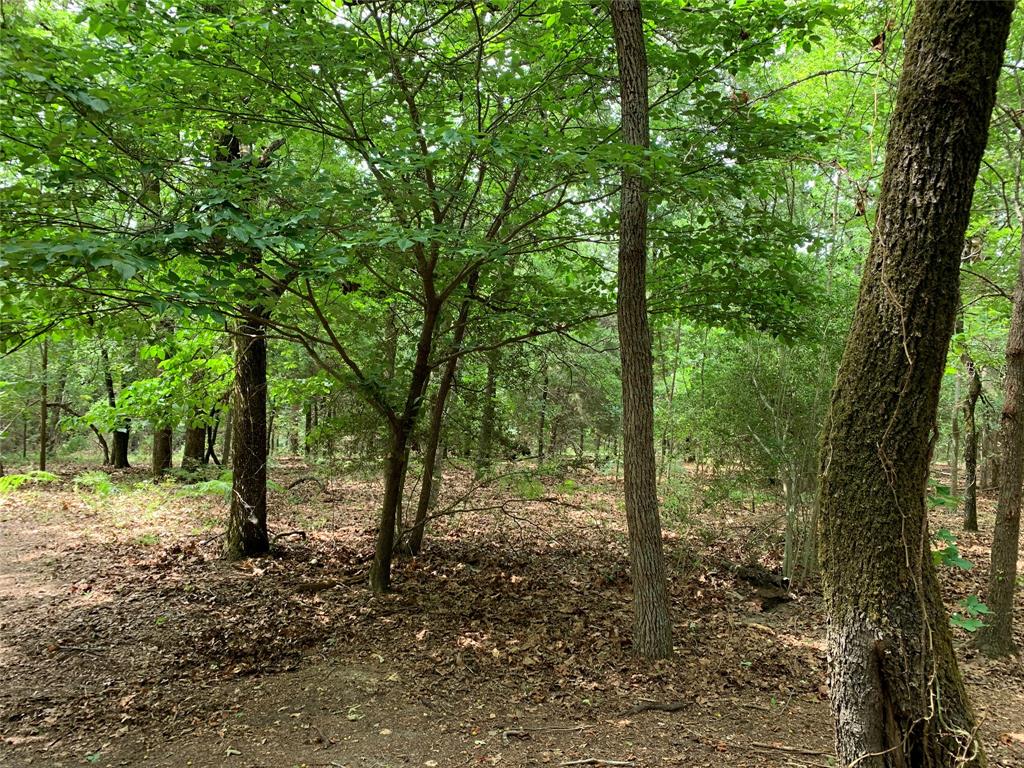 TBD County Road 3711, Athens, TX 75752