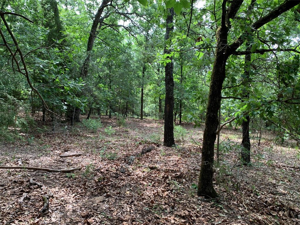 TBD County Road 3711, Athens, TX 75752