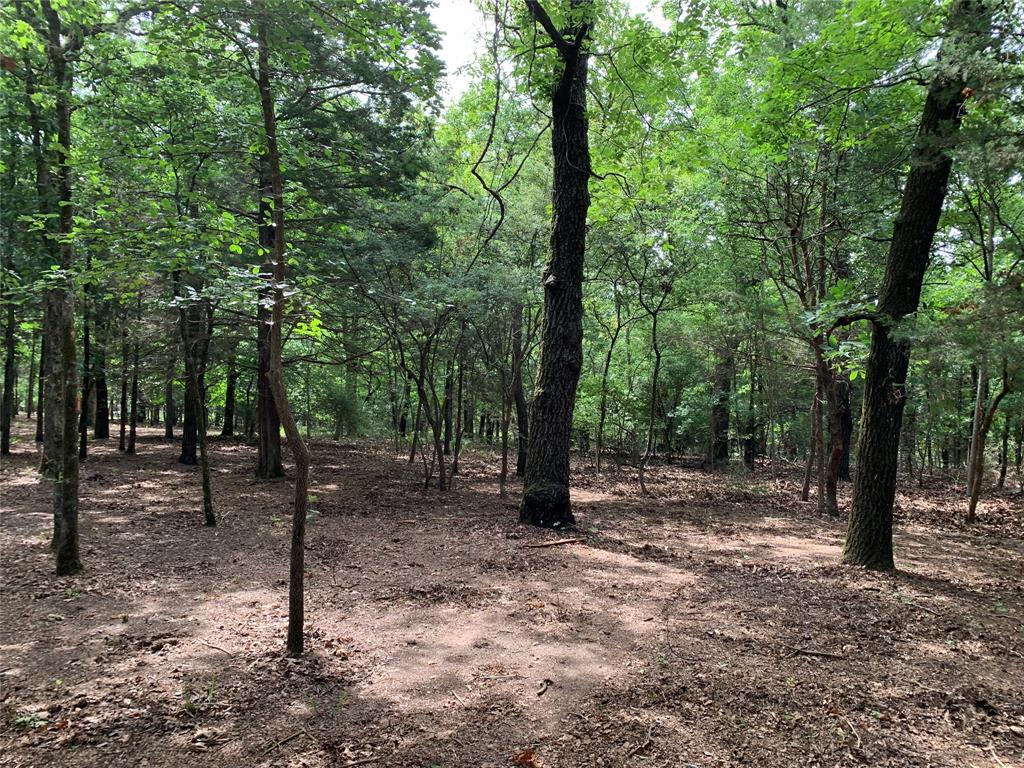 TBD County Road 3711, Athens, TX 75752
