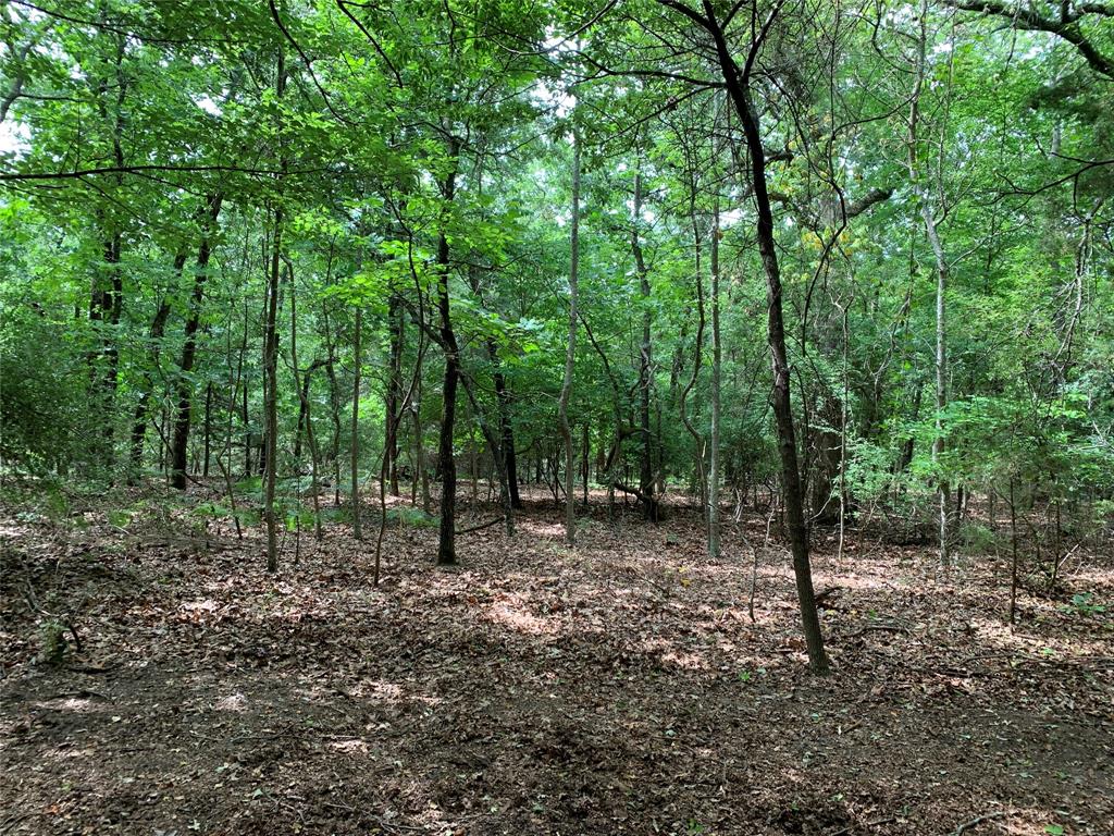 TBD County Road 3711, Athens, TX 75752