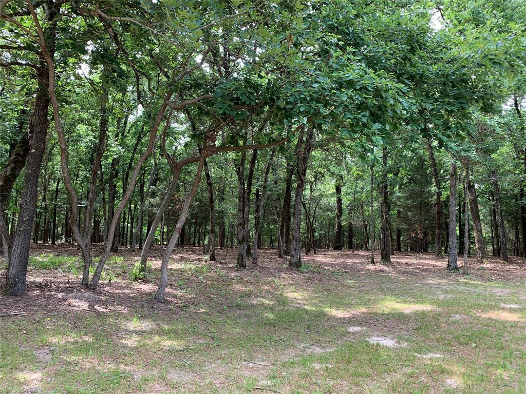 TBD County Road 3711, Athens, TX 75752