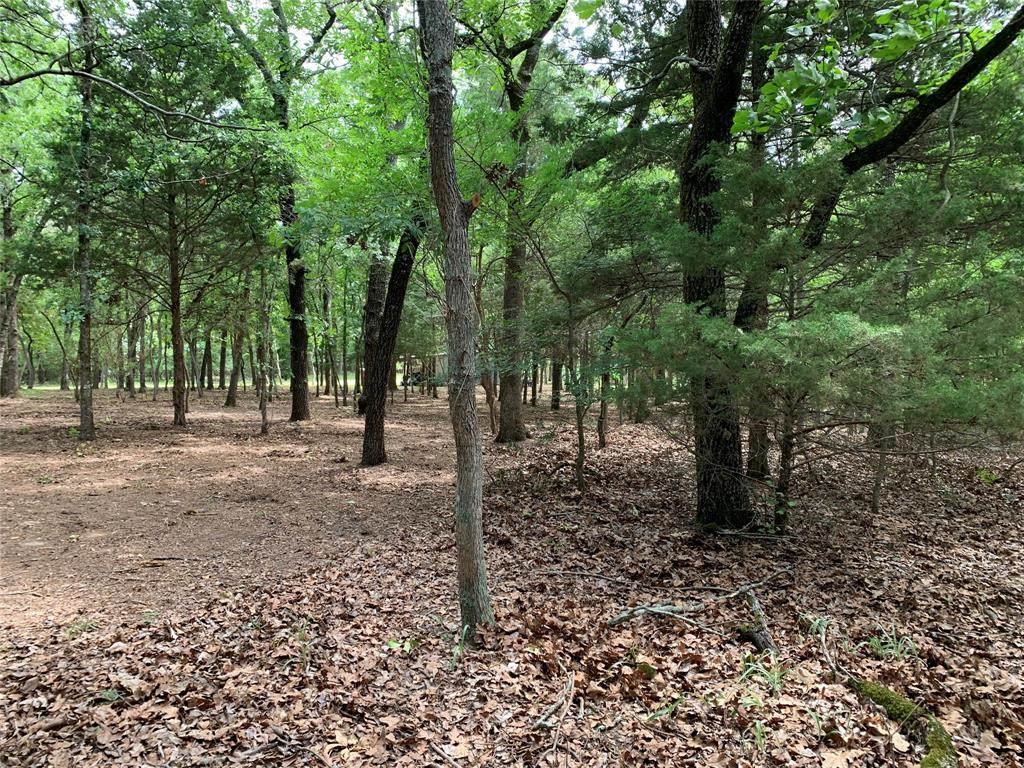 TBD County Road 3711, Athens, TX 75752