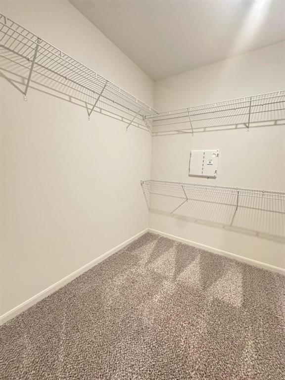 Carpeted walk-in closet featuring wire shelving on multiple walls