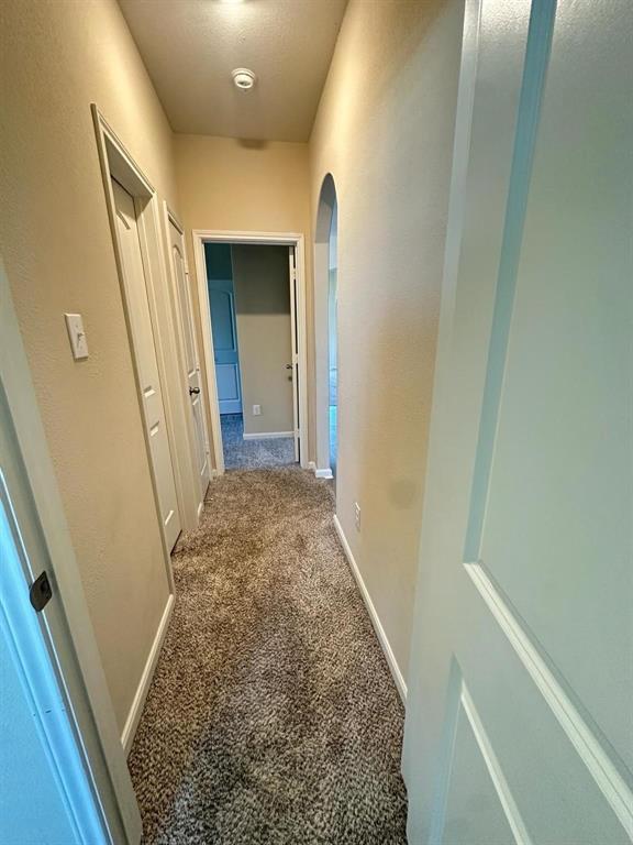 Hallway with textured carpeting, neutral wall finishes, white trim, and an arched doorway