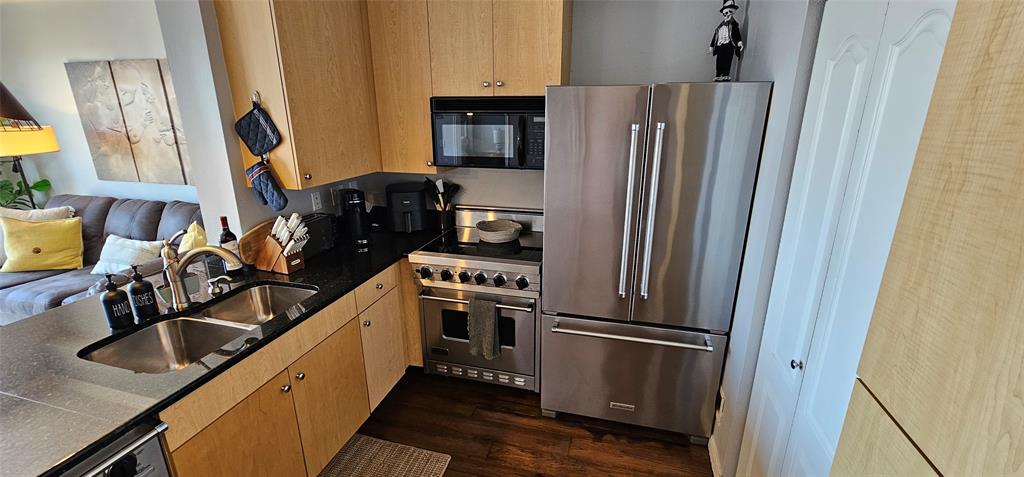 3225 Turtle Creek Boulevard, #1610, Dallas, TX 75219