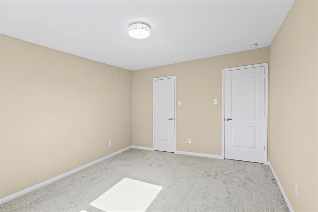Neutral-toned interior featuring two white paneled doors, light grey carpeting, and a flush mount ceiling light fixture