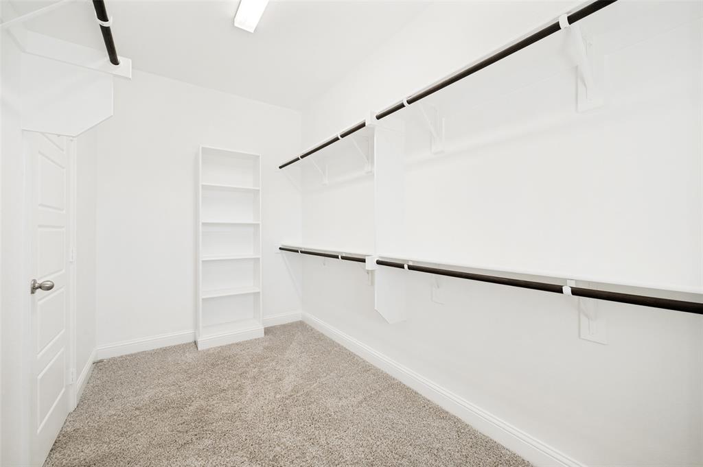 Walk-in closet featuring light grey carpet, white walls, and a five-shelf white built-in bookcase
