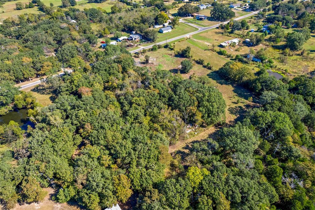 Expansive wooded acreage featuring mature trees and a tranquil water feature