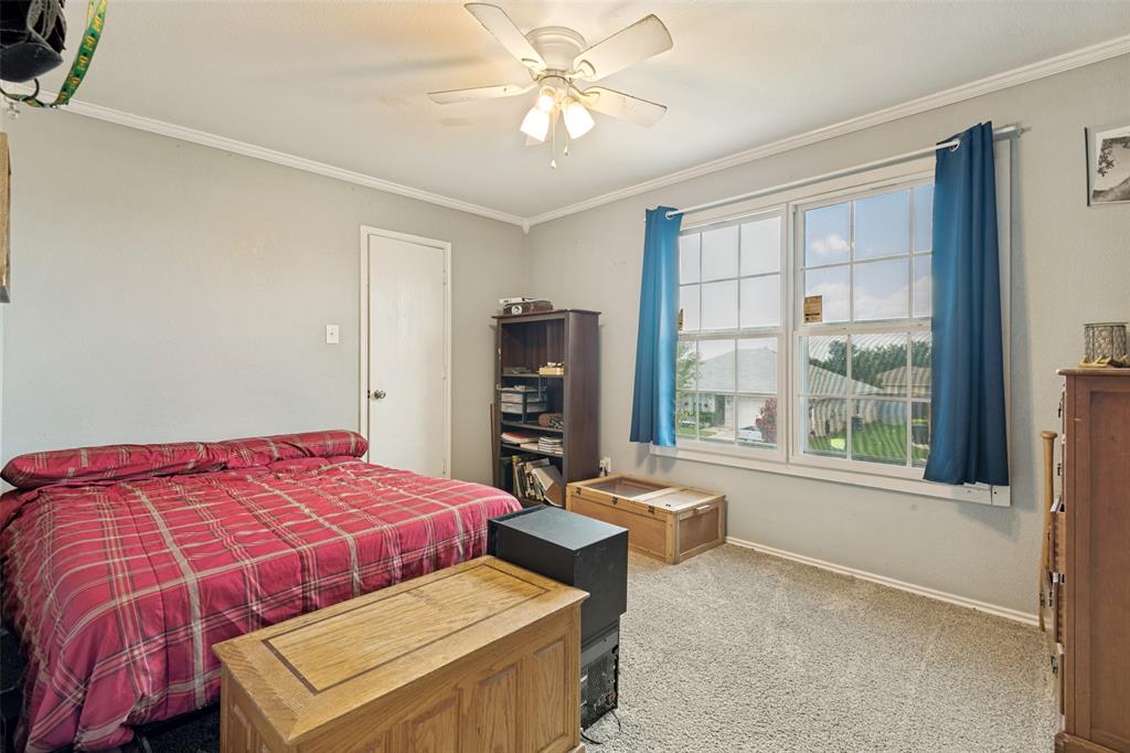 Bright room featuring neutral wall paint, white trim, and light-colored carpeting