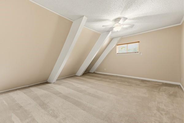 205 Roaring Springs Drive, DeSoto, TX 75115