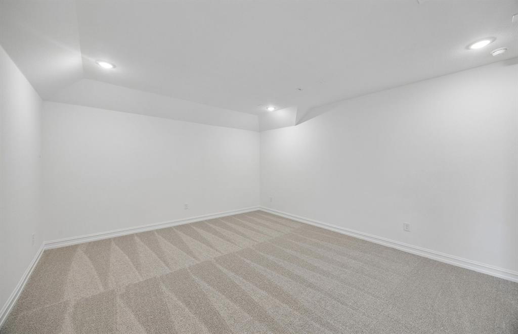 Spacious media room