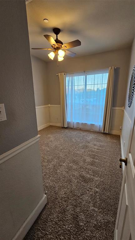 Carpeted room featuring a ceiling fan with integrated lighting, a window with sheer and solid curtains, and chair rail molding