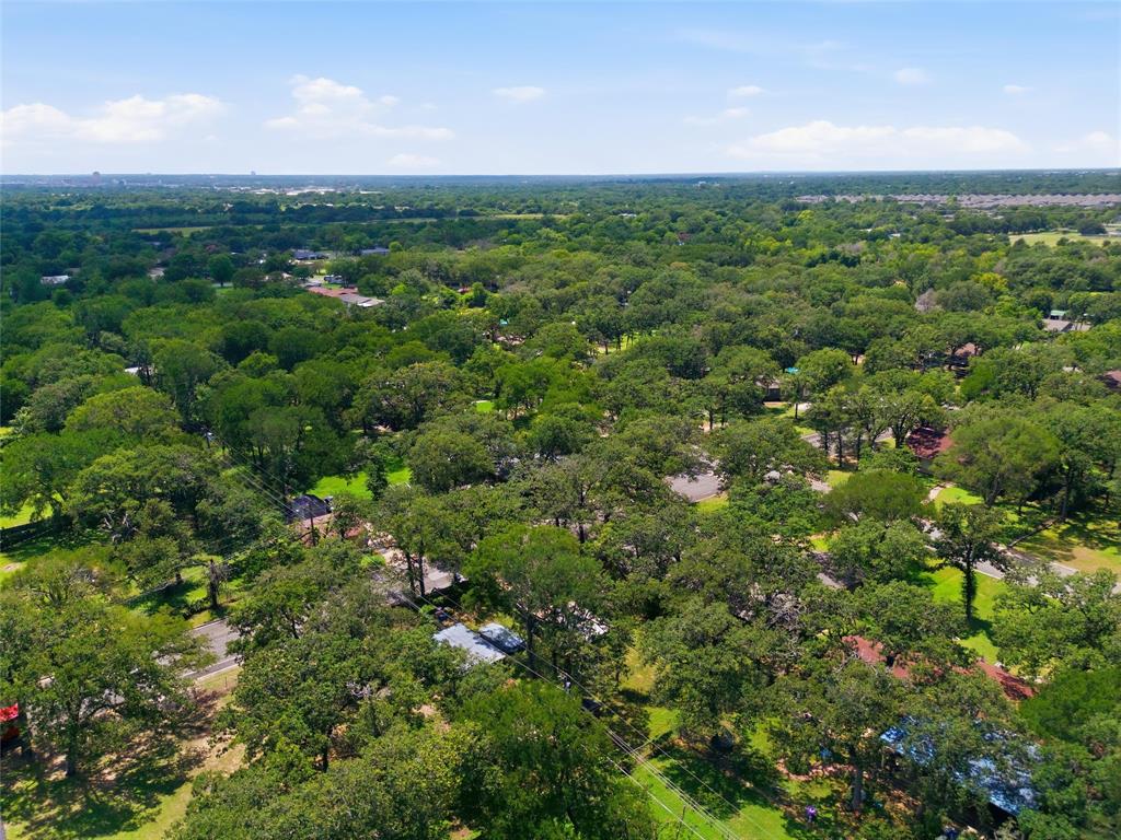 Expansive residential area featuring mature tree canopy, abundant green spaces, and a clear sky backdrop