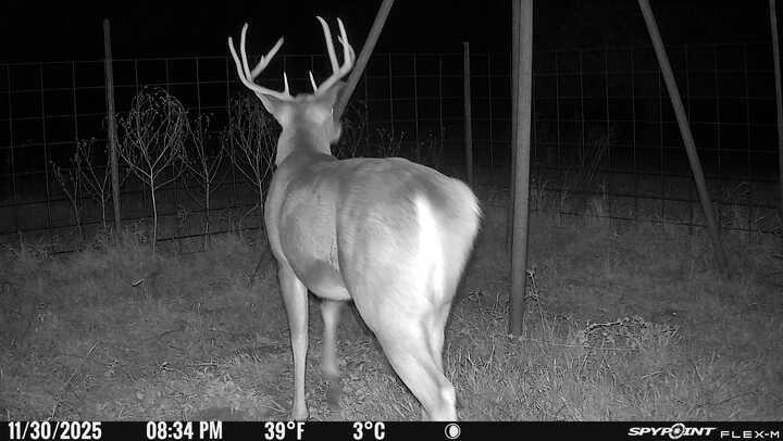 13494 County Road 2919, Eustace, TX 75124