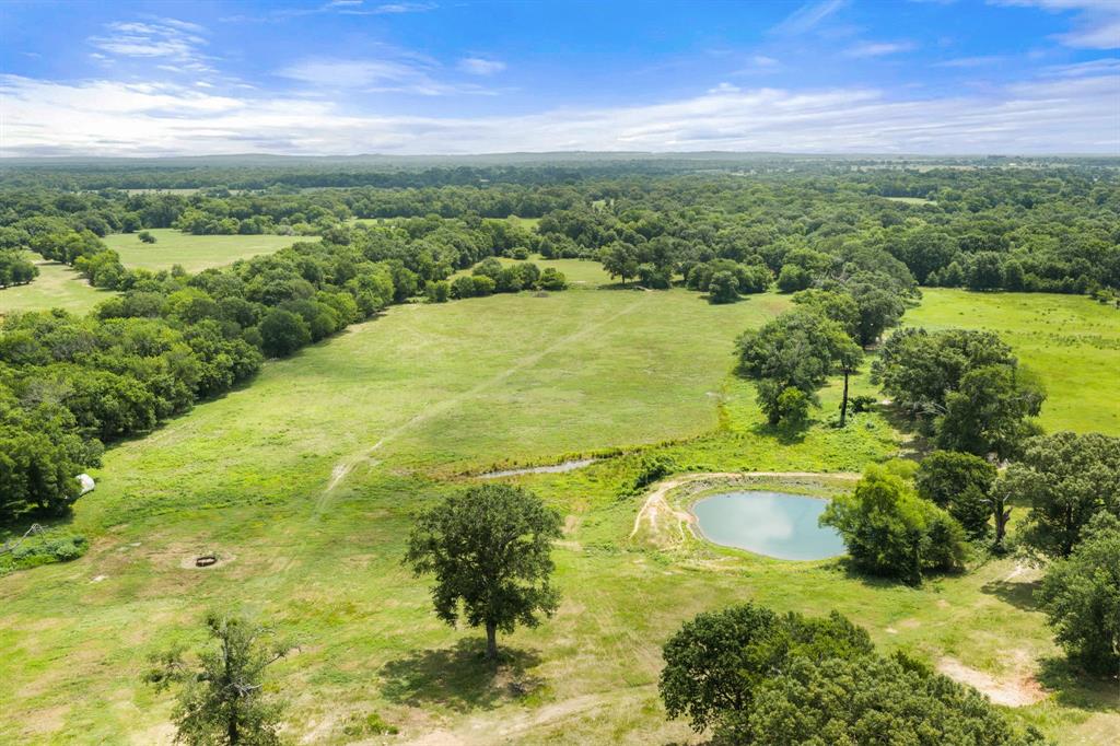 Expansive green acreage featuring a clear pond, mature trees, and open fields with natural pathways
