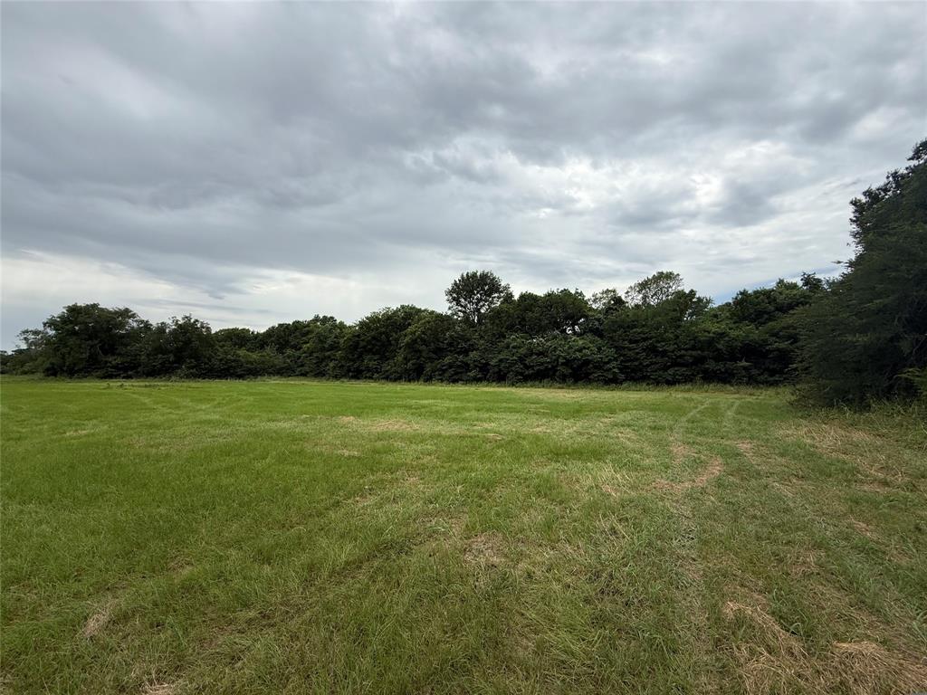 000 county road 313 Co Rd 313, Terrell, TX 75161 000 county road 313 Co Rd 313, Terrell, TX 75161