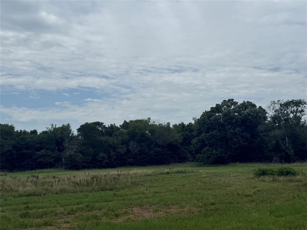 000 county road 313 Co Rd 313, Terrell, TX 75161 000 county road 313 Co Rd 313, Terrell, TX 75161
