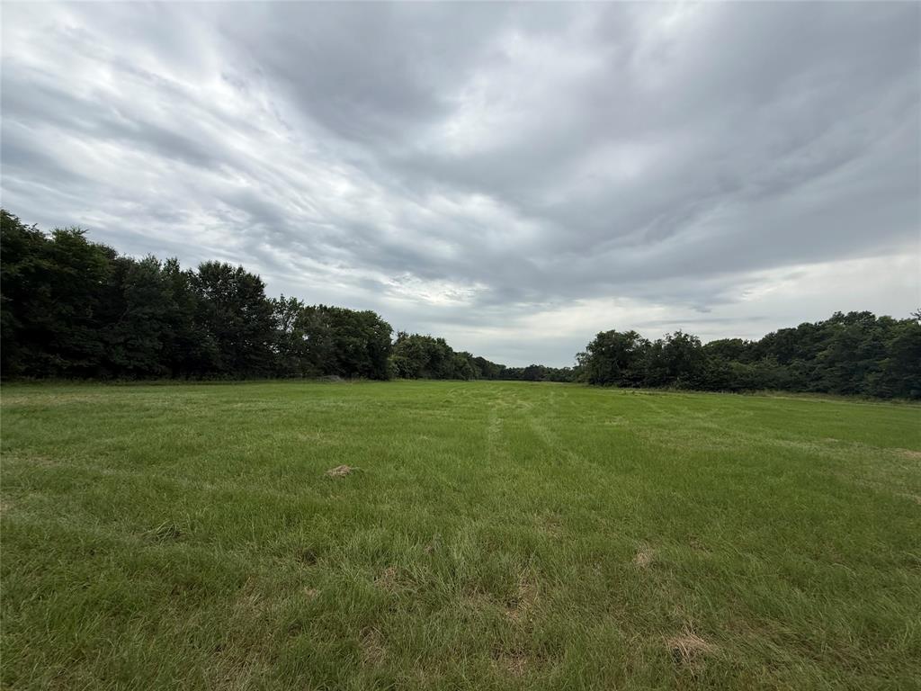 000 county road 313 Co Rd 313, Terrell, TX 75161 000 county road 313 Co Rd 313, Terrell, TX 75161