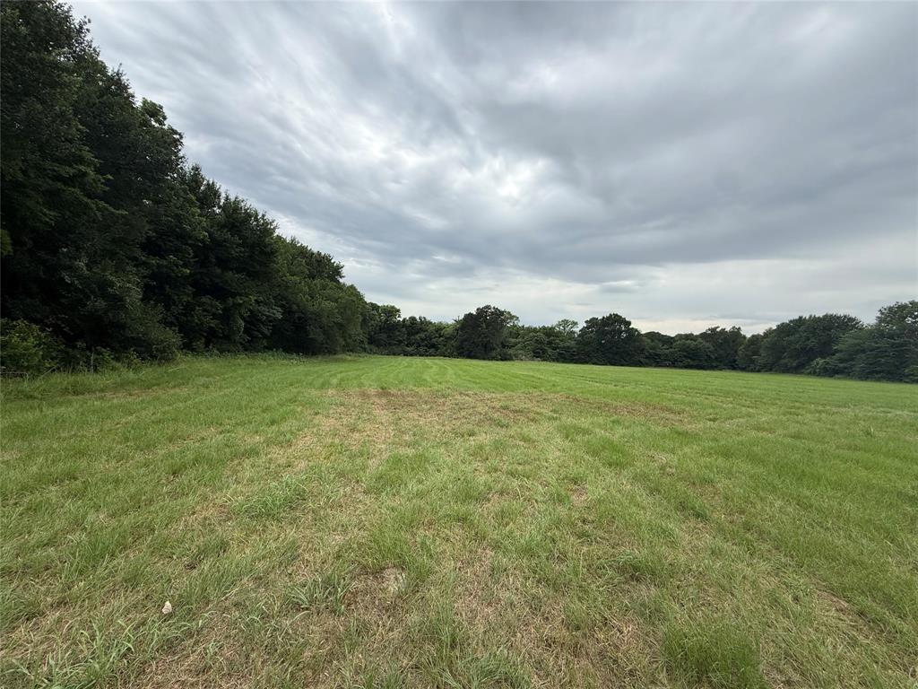 Expansive land parcel featuring open fields and mature perimeter trees Expansive land parcel featuring open fields and mature perimeter trees