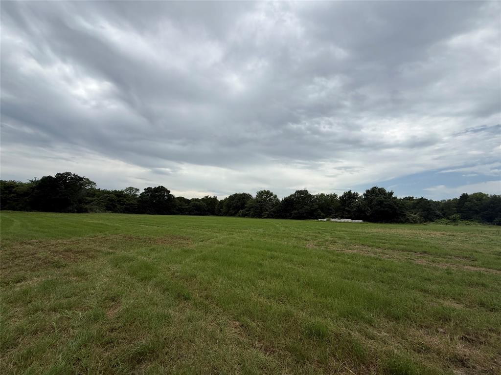 000 county road 313 Co Rd 313, Terrell, TX 75161 000 county road 313 Co Rd 313, Terrell, TX 75161