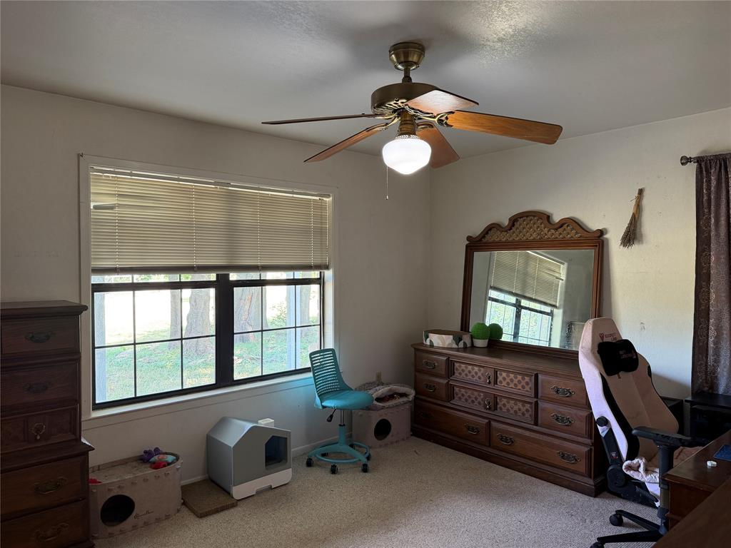 10047 E State Highway 36, Jonesboro, TX 76538