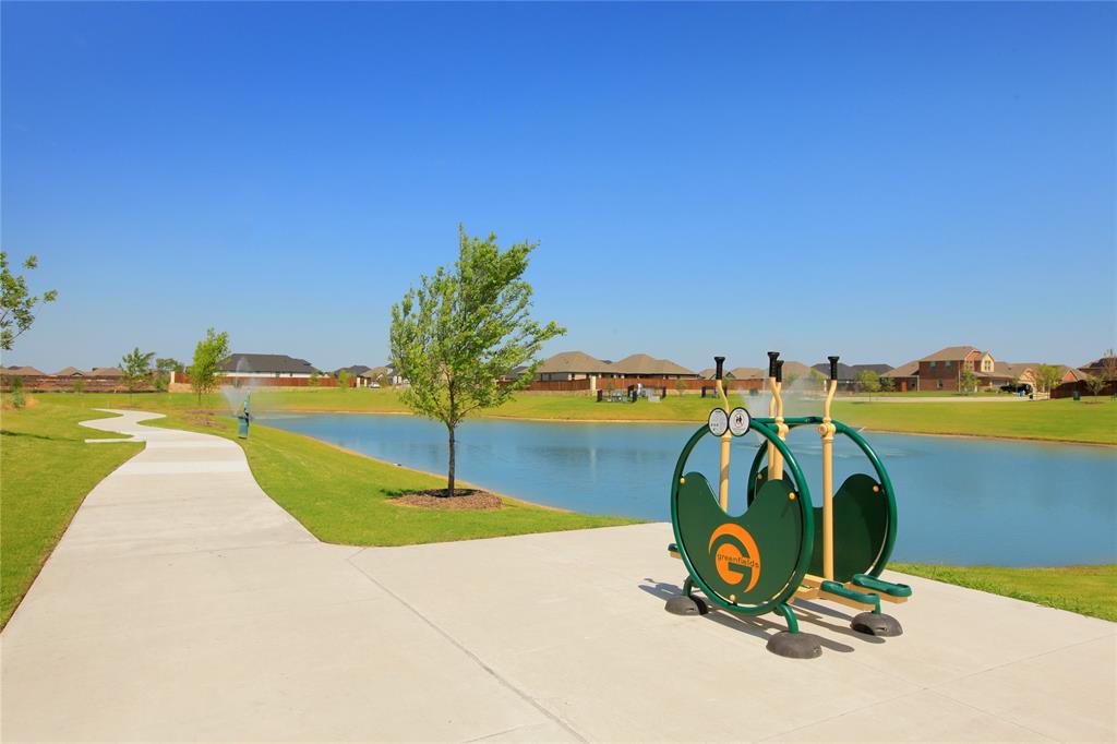 482 Tender Summit, Lavon, TX 75166