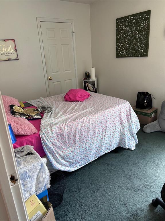 Room with light-colored walls and green carpet flooring
