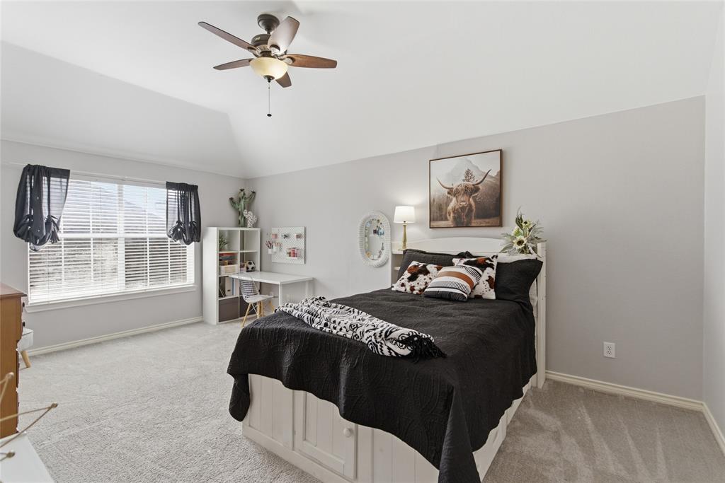 Spacious room featuring vaulted ceilings, a large window with blinds, carpeted flooring, a ceiling fan with integrated lighting, and a built-in bed frame with storage