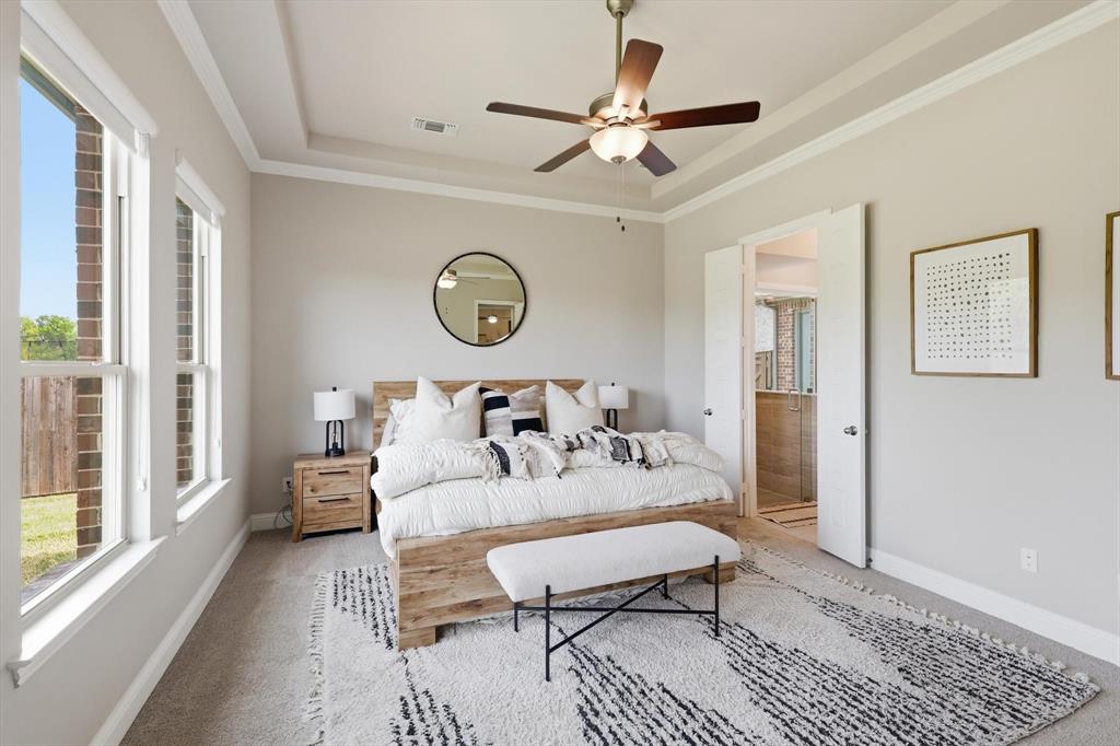 3120 Creek Meadow Drive, Anna, TX 75409