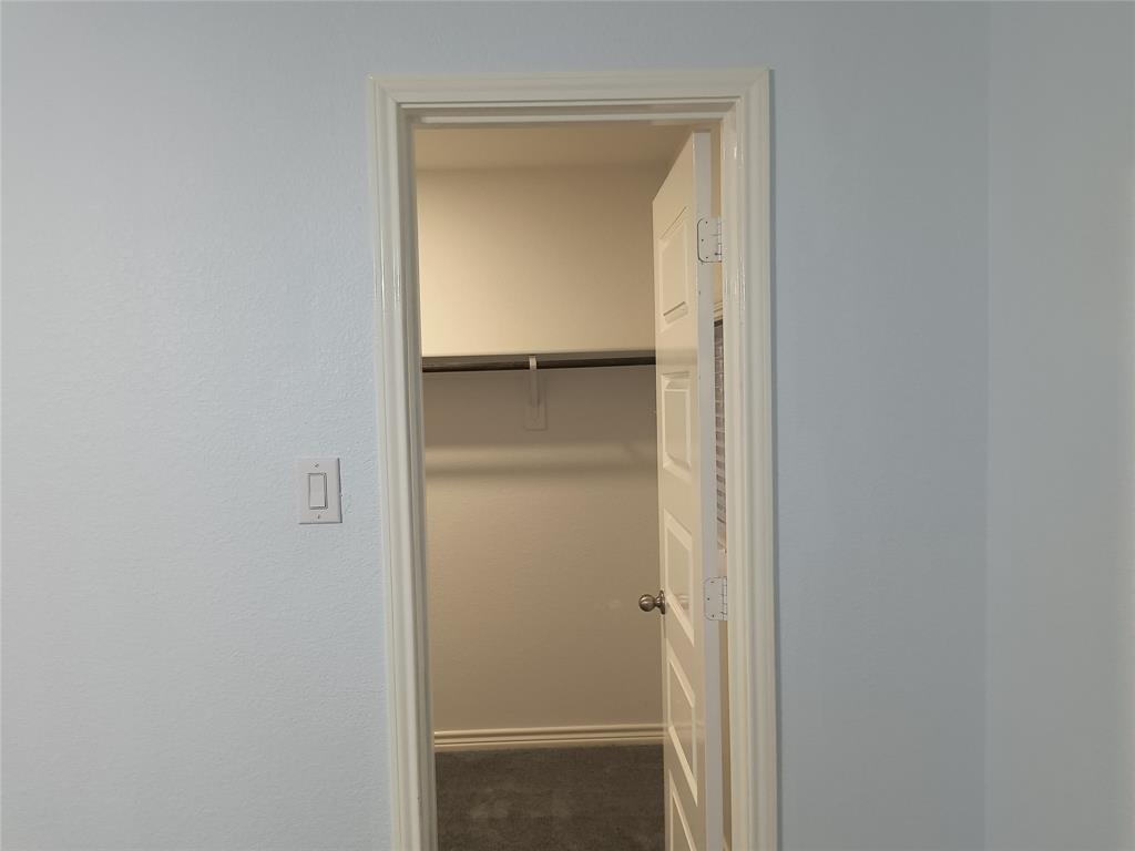 Walk-in closet featuring light gray walls, dark gray carpet, a single wall-mounted rod, and a white interior door