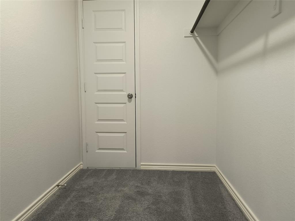 Walk-in closet featuring plush gray carpeting, white painted walls, a five-panel interior door, and a built-in clothing rod with shelving