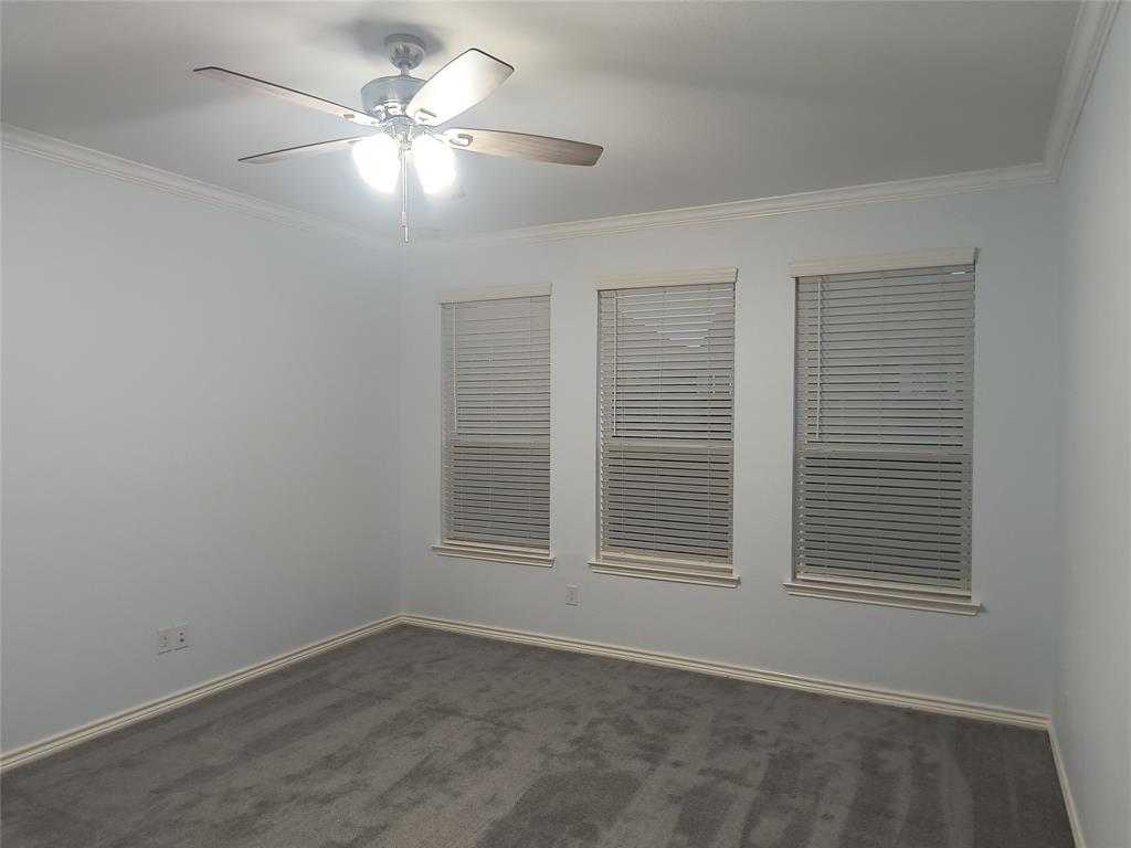 Bright room featuring three windows with horizontal blinds, a ceiling fan with integrated lighting, crown molding, and neutral-toned carpeting