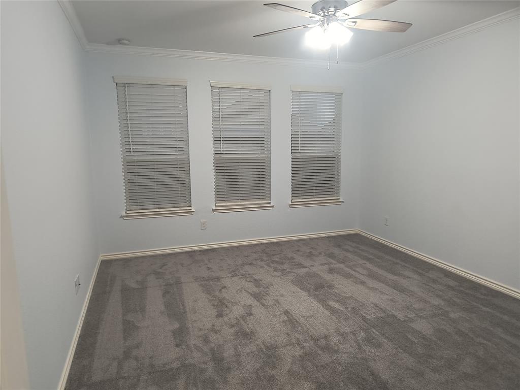 Spacious room featuring light gray walls, gray carpet, and three windows with blinds