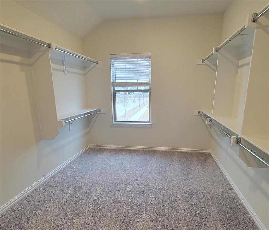 Spacious closet featuring wall-mounted shelving, integrated hanging rods, a window with blinds, light-toned carpeting, and a neutral wall color