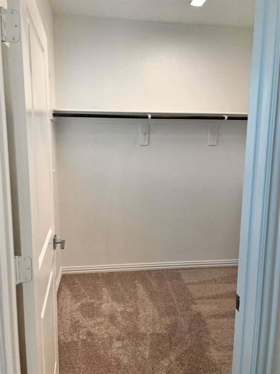 Carpeted closet with white walls and a single hanging rod