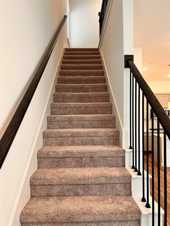 Carpeted staircase featuring a dark wood-finish handrail and black metal balusters