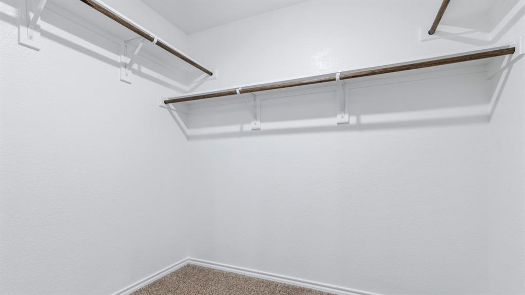 Spacious walk-in closet featuring white walls, white baseboards, and neutral carpet flooring