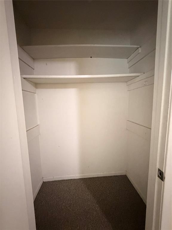 Storage closet featuring dual built-in shelves and neutral-toned carpeting