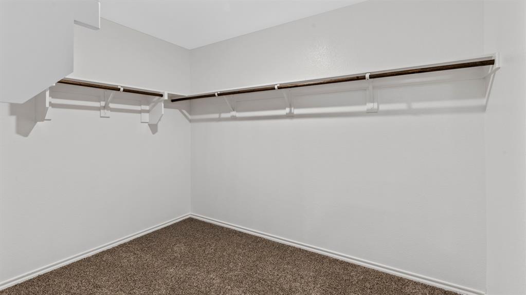 Walk-in closet featuring white painted walls, white trim, and neutral-toned carpeting