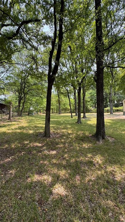 Street view looking towards back