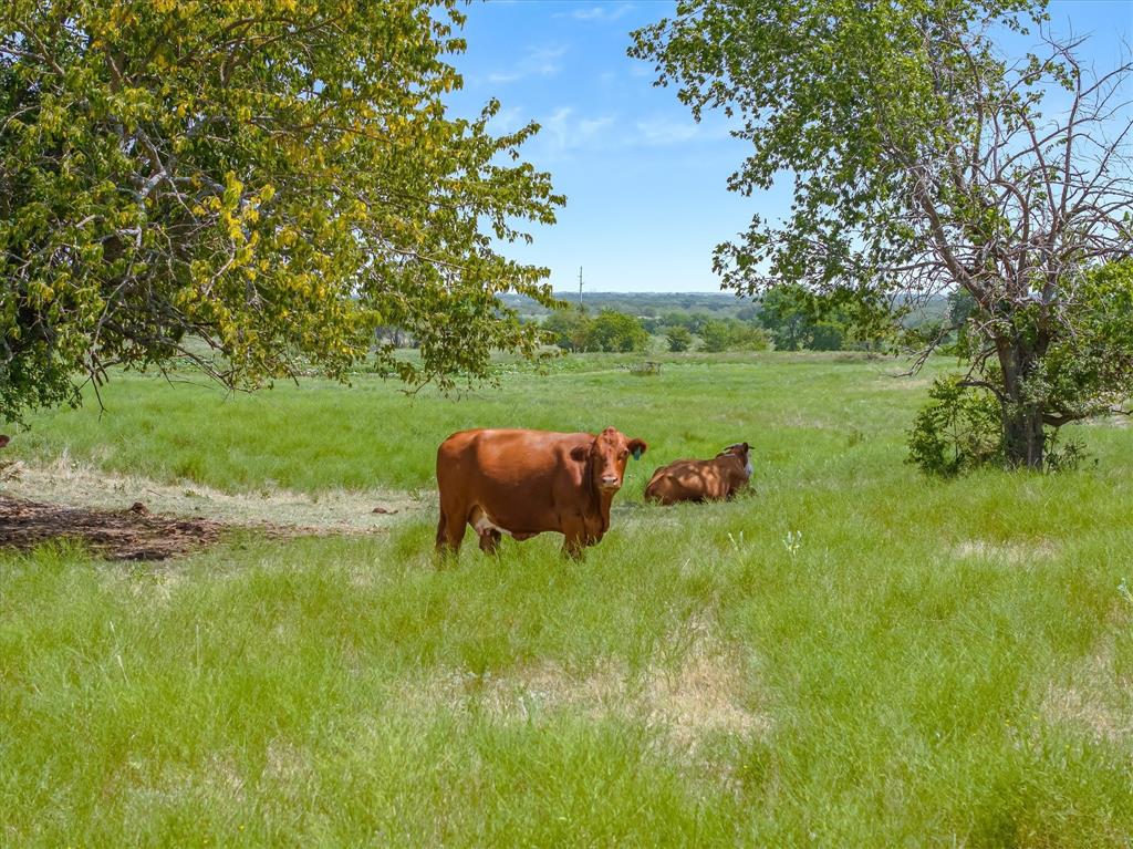5030 N Fm 148, Crandall, TX 75114
