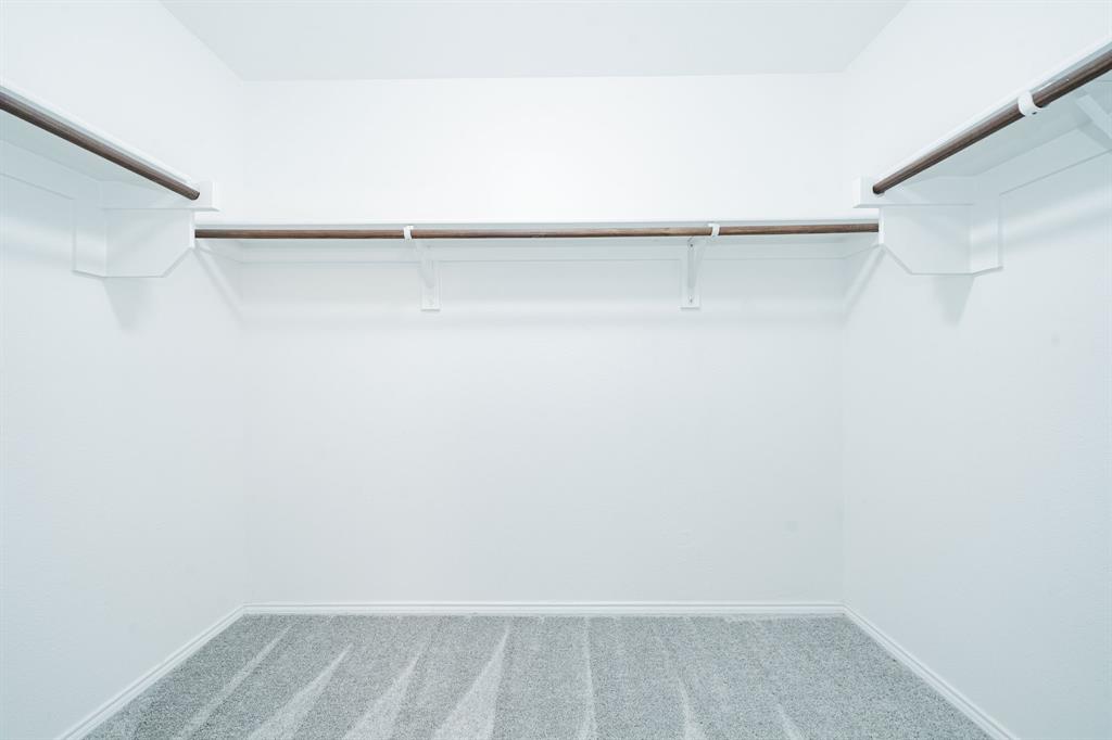 Spacious closet featuring carpet